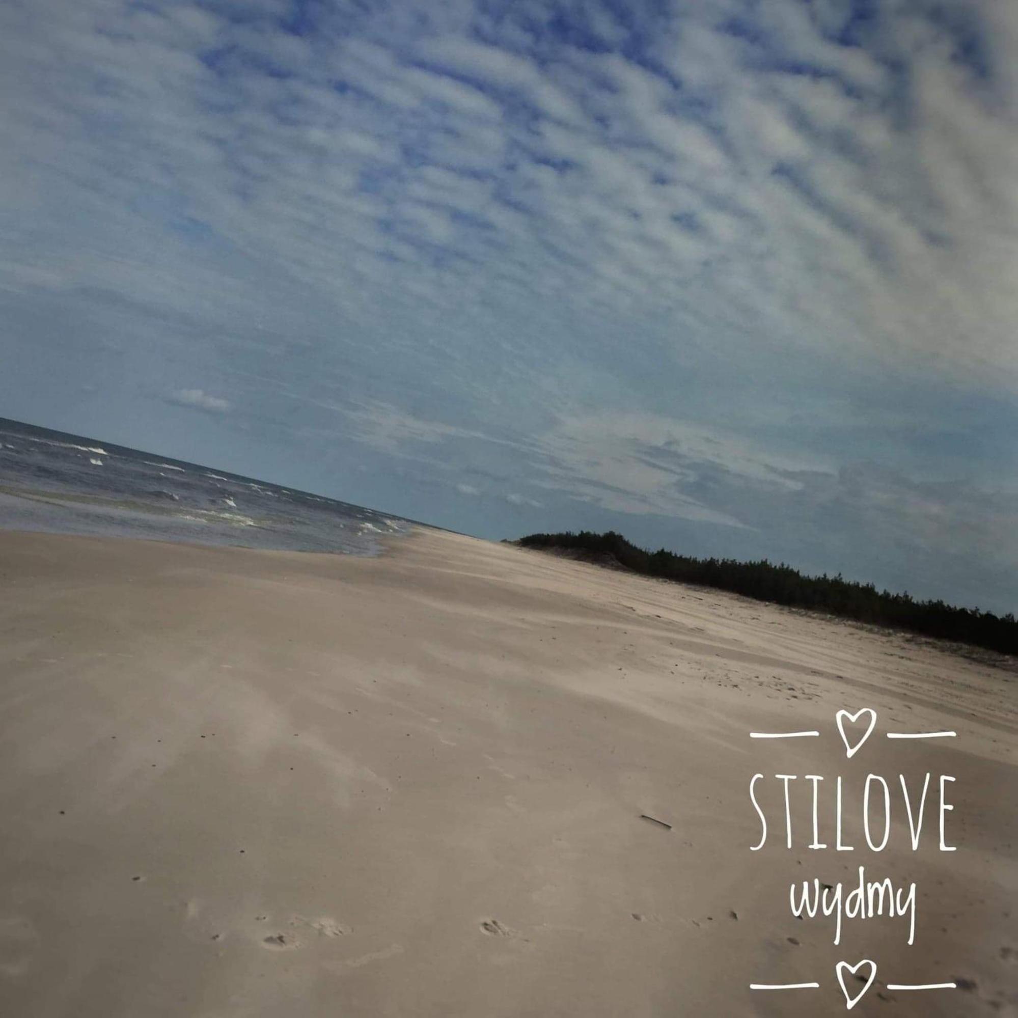 Stilove Wydmy Sasino Bagian luar foto